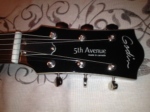 Guitare Godin 5th Avenue