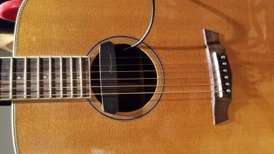 Fishman Neo-D